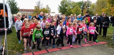 Foto des Albums: Moormeile 19.10.2019