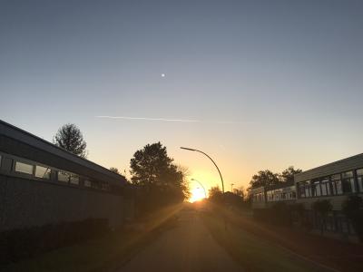 Foto des Albums: Herbstspaziergang