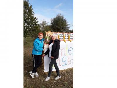 Foto des Albums: Erntefest in Gallin 2019