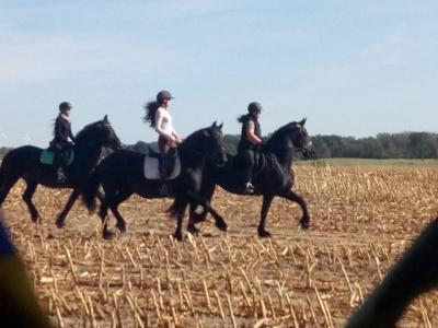 Foto des Albums: Erntefest in Gallin 2019