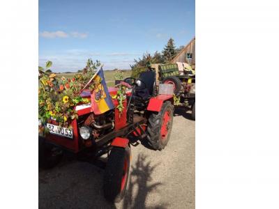 Foto des Albums: Erntefest in Gallin 2019