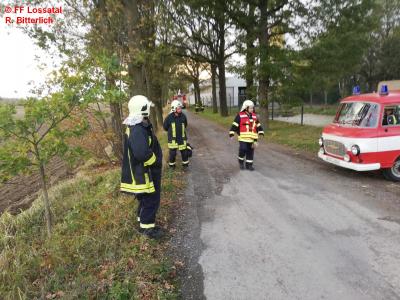 Foto des Albums: Einsatzübung Maxam 2019 (27. 10. 2019)