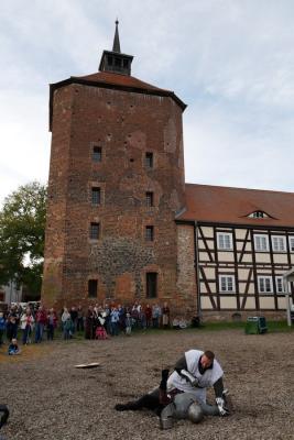 Foto des Albums: Mittelalterlicher Wollmarkt 2019 auf der Burg Beeskow (26. 10. 2019)