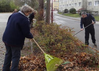 Foto des Albums: Arbeitseinsatz an Schule und Hort (02.11.2019)