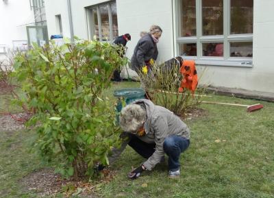 Foto des Albums: Arbeitseinsatz an Schule und Hort (02.11.2019)