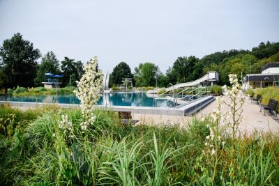 Nichtschwimmerbecken  (Bild vergr&ouml;&szlig;ern)