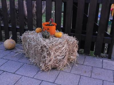 Foto des Albums: Herbstfest Kita Schadeleben