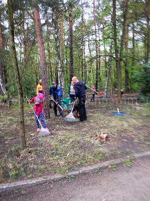 Foto des Albums: Frühjahrsputz 2017