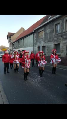 Foto des Albums: Der ZCV e.V. unterwegs im Mansfelder Land