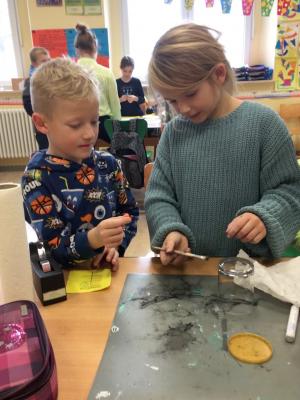 Foto des Albums: 2. Leseprojektwoche