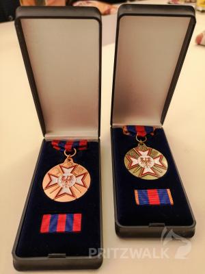 Die Treuemedaille in Kupfer und in Bronze. Foto: Beate Vogel   (Bild vergr&ouml;&szlig;ern)