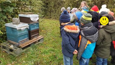 Foto des Albums: Streuobstwiese