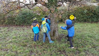 Foto des Albums: Streuobstwiese