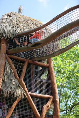 Foto des Albums: Schulausflug in den Zoo "Arche Noah" nach Stöckheim