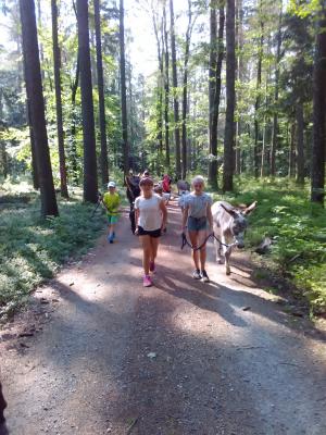 Foto des Albums: Ferienprogramm 2019 - Eseltour