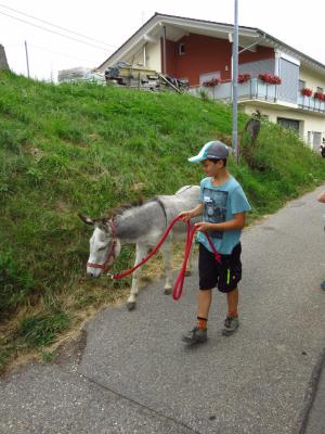 Foto des Albums: Ferienprogramm 2019 - Eseltour