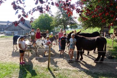 Foto des Albums: Ferienprogramm 2019 - Eseltour