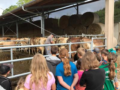 Foto des Albums: Ferienprogramm 2019 - Musikalischer Tag