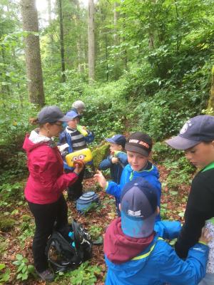 Foto des Albums: Ferienprogramm 2019 - Wandern mit dem Wegewart