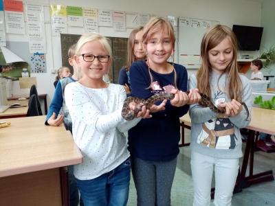 Foto des Albums: Herbstferien 2019