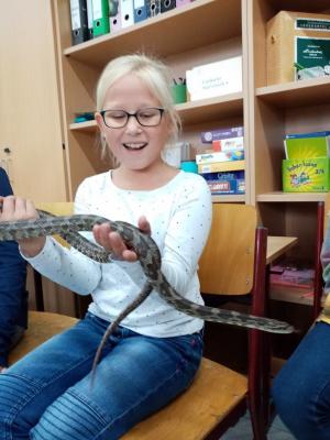 Foto des Albums: Herbstferien 2019