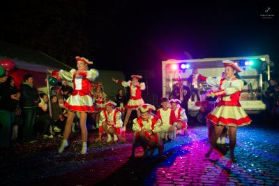 Foto des Albums: Straßenkarneval (21.11.2019)