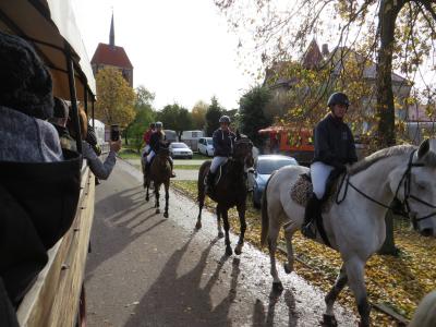 Foto des Albums: Fuchsjagd des Reit- und Fahrvereins Uenze e.V.