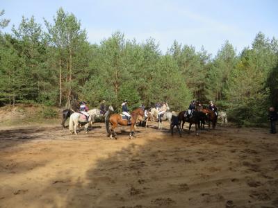 Foto des Albums: Fuchsjagd des Reit- und Fahrvereins Uenze e.V.