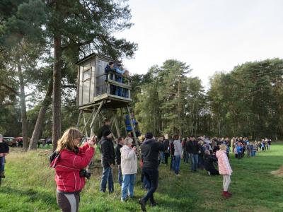 Foto des Albums: Fuchsjagd des Reit- und Fahrvereins Uenze e.V. (26.​11.​2019)