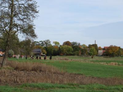 Foto des Albums: Fuchsjagd des Reit- und Fahrvereins Uenze e.V.