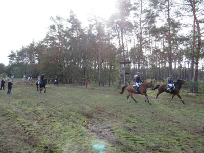 Foto des Albums: Fuchsjagd des Reit- und Fahrvereins Uenze e.V.