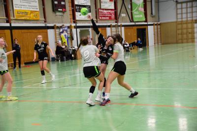 Foto des Albums: Spiel wB gegen TG Kastel (17.11.)