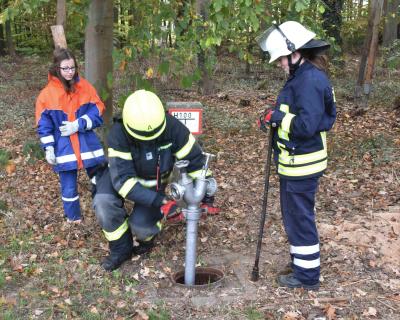 Foto des Albums: Hydranten sind für den Winter fit (03. 11. 2018)