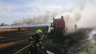 Foto des Albums: Feuer greift auf Wald über (26. 07. 2019)