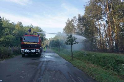 Foto des Albums: Feuer greift auf Wald über (26. 07. 2019)