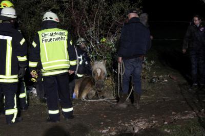 Foto des Albums: Feuerwehr rettet Pferd aus Graben (28. 10. 2018)