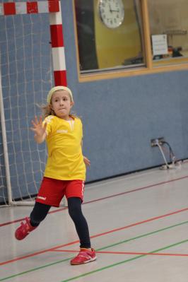 Foto des Albums: 30 Jahre MINI-Handball in Aachen/Düren Nikolausturnier 2019 (10. 12. 2019)