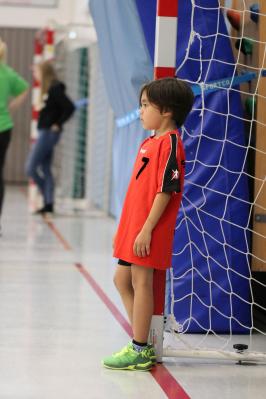 Foto des Albums: 30 Jahre MINI-Handball in Aachen/Düren Nikolausturnier 2019 (10.12.2019)