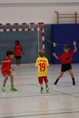 Foto des Albums: 30 Jahre MINI-Handball in Aachen/Düren Nikolausturnier 2019 (10.12.2019)