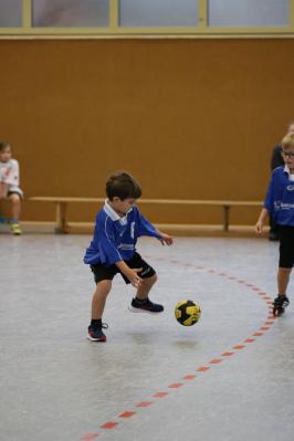 Foto des Albums: 30 Jahre MINI-Handball in Aachen/Düren Nikolausturnier 2019 (10.12.2019)