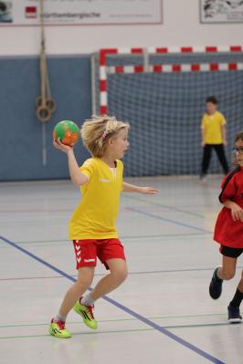 Foto des Albums: 30 Jahre MINI-Handball in Aachen/Düren Nikolausturnier 2019 (10.12.2019)