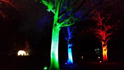 Foto des Albums: 2019 - Ausflug Weihnachtsmarkt    Münster