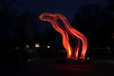 Foto des Albums: 2019 - Ausflug Weihnachtsmarkt    Münster