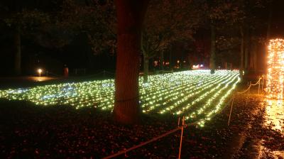 Foto des Albums: 2019 - Ausflug Weihnachtsmarkt    Münster