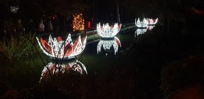 Foto des Albums: 2019 - Ausflug Weihnachtsmarkt    Münster