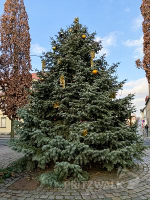 Foto des Albums: Weihnachtsmarkt 2019 - Tag 3
