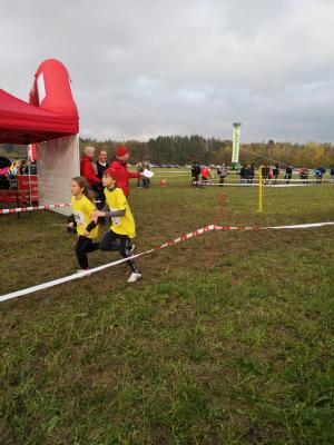 Foto des Albums: Crosslauf
