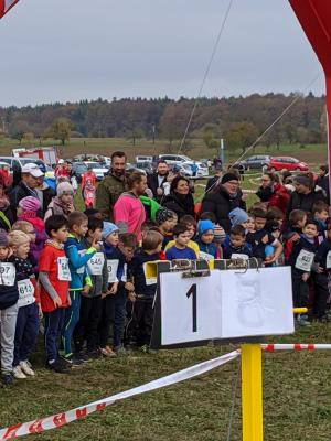 Foto des Albums: Crosslauf