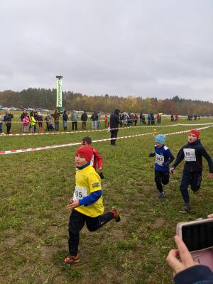 Foto des Albums: Crosslauf