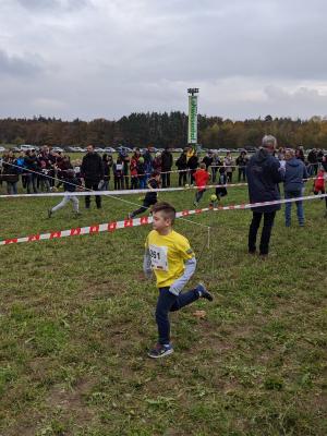 Foto des Albums: Crosslauf
